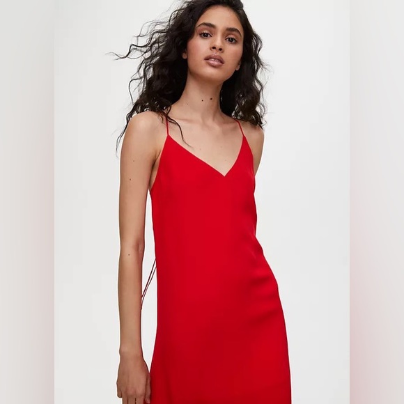 Aritzia Mid dress - Picture 4 of 5